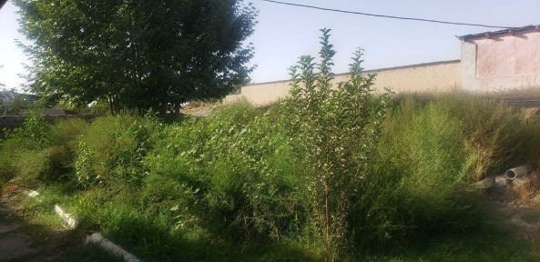 Самаркандская область, Самарканд